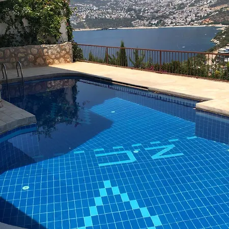 Zeyno كاس
